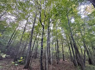 Hale County Rd #50, Moundville, AL 35474