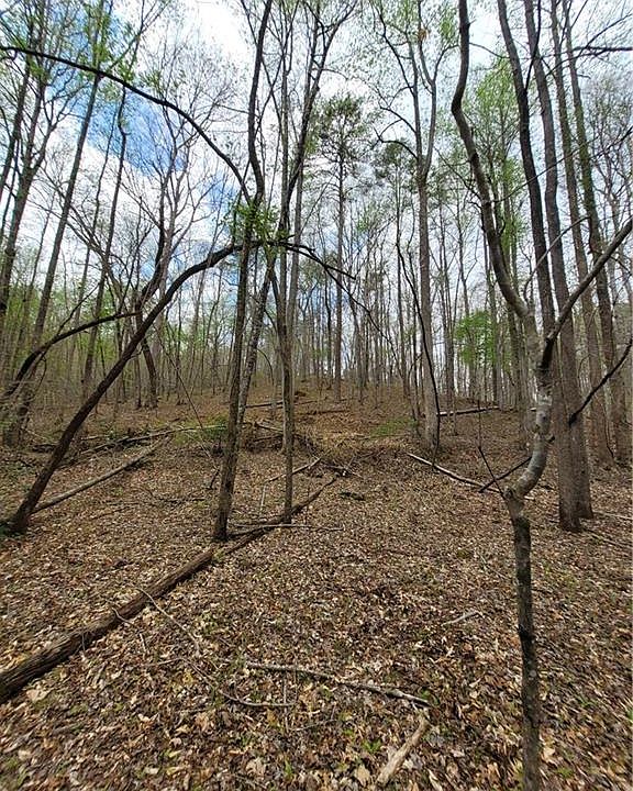 8 Auraria Rd, Dawsonville, GA 30534 MLS 7202660 Zillow