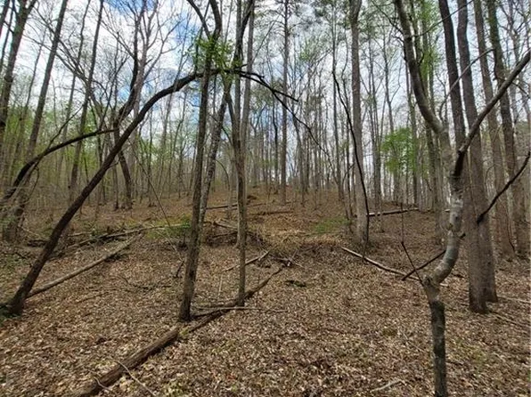 8 Auraria Rd, Dawsonville, GA 30534