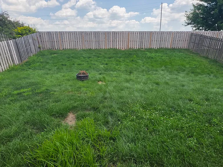 15098 Royal Grove Dr — Photo 30
