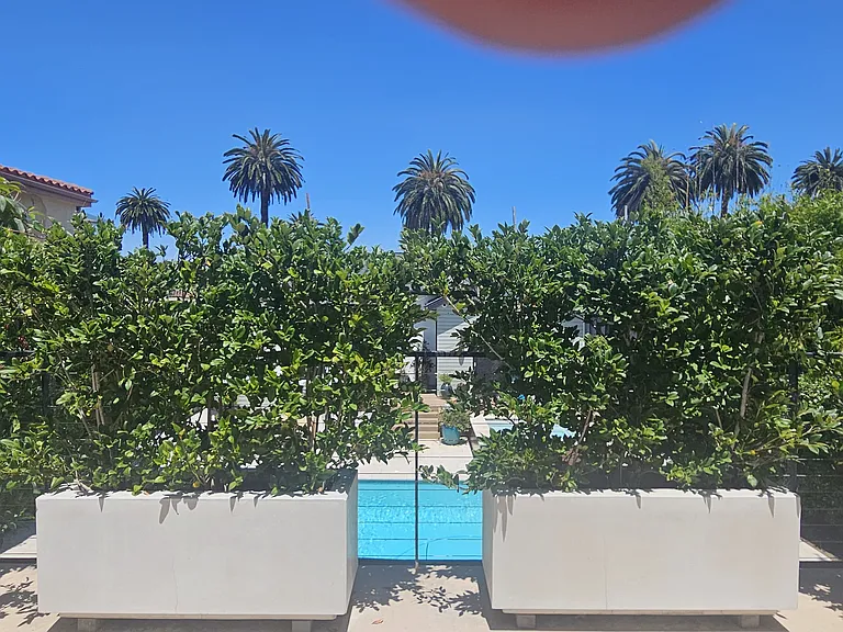 view from private patio