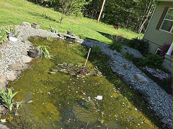 koi pond