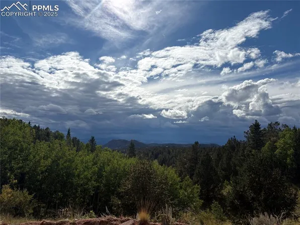 70 Brown Bear Ln, Cripple Creek, CO 80813