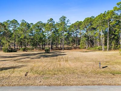 729 Plantation Dr, Port Saint Joe, FL, 32456