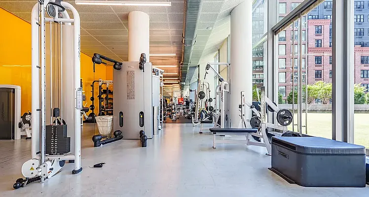 Rented by Platinum Properties | media 19