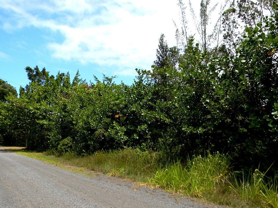 1st image of 1st Ave Lot 2884