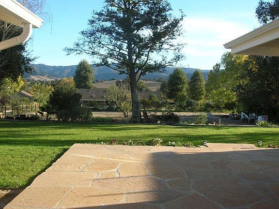 View from back patio