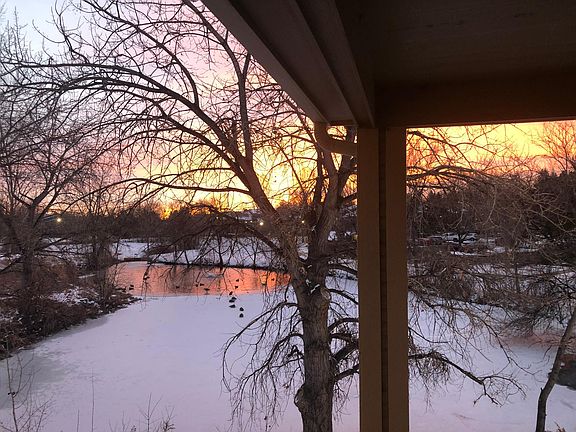 View from front door (looking east)