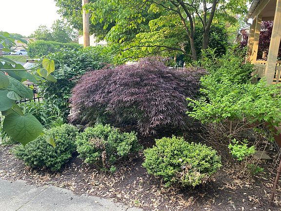 4th image of 14 E Abington Ave