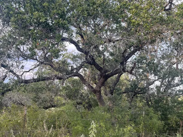 TBD County Road 265, Mico, TX 78056