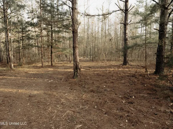Louette Rd, Mendenhall, MS 39114