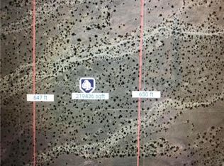 2850 E Basin Ave, Pahrump, NV 89060