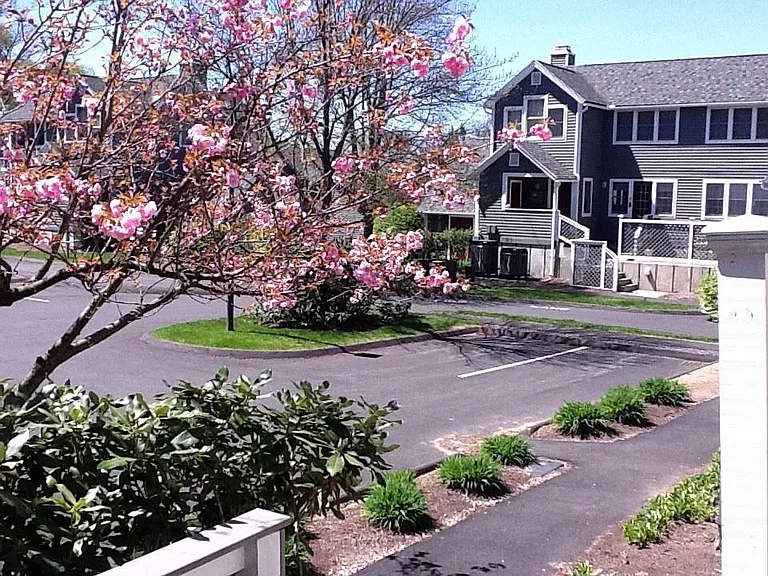 39 Amity Pl — Photo 6
