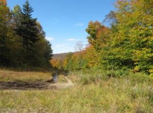 51 Gardiner Ln, Richmond, VT 05477