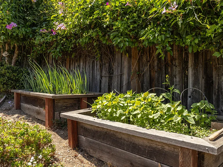 Planting beds
