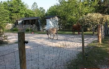 5 Acre Horse Property