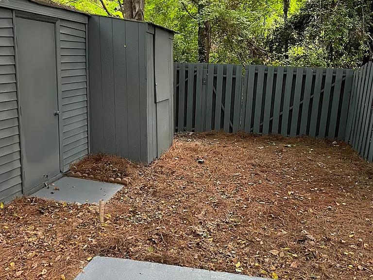 Backyard