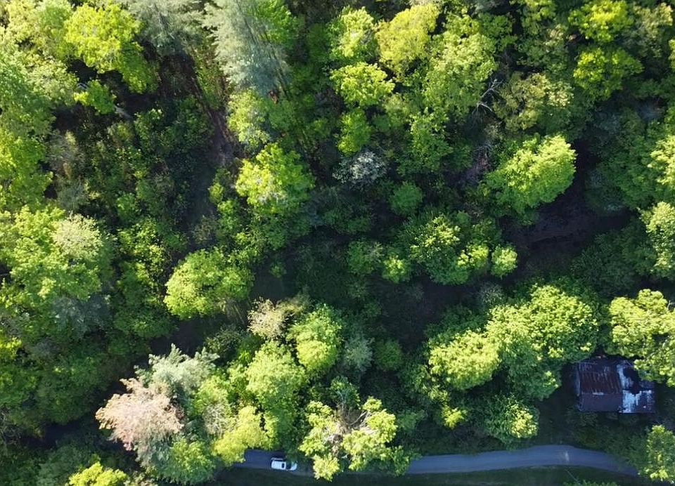 1st image of 305 Chandler Cir