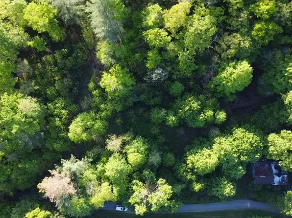 305 Chandler Cir, Greeneville, TN 37743