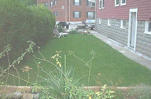 yard