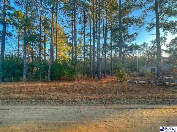 2925 Leah Dr, Little Rock, SC 29567