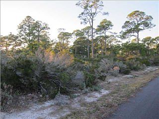 4th image of 1452 Dogwood Dr