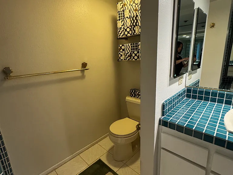 Toilet in master bathroom is behind a short wall for privacy.
