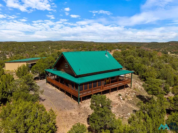 62 Canyon Crossing Dr #96/97, Quemado, NM 87829