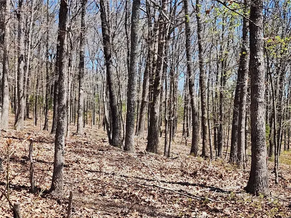 0 Brushy Creek Rd, Houston, MO 65483