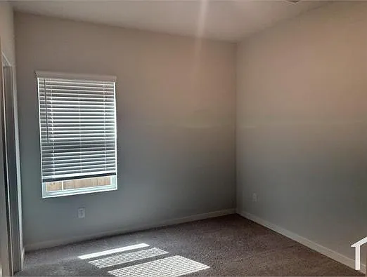 5735 Blue Grama Dr — Photo 24