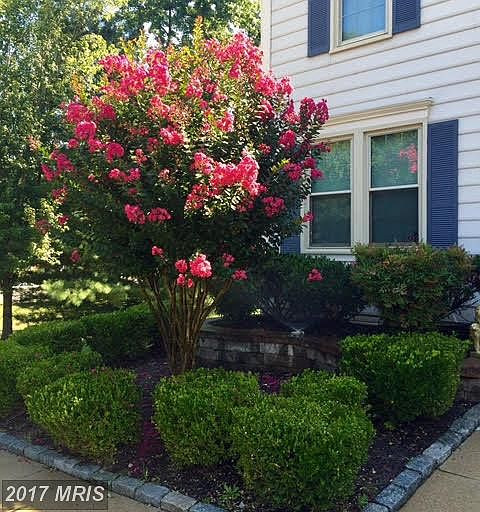 1st image of 9501 Shepherd Hills Dr
