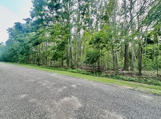 Dunson Ln LOT 46, Elmira, MI 49730