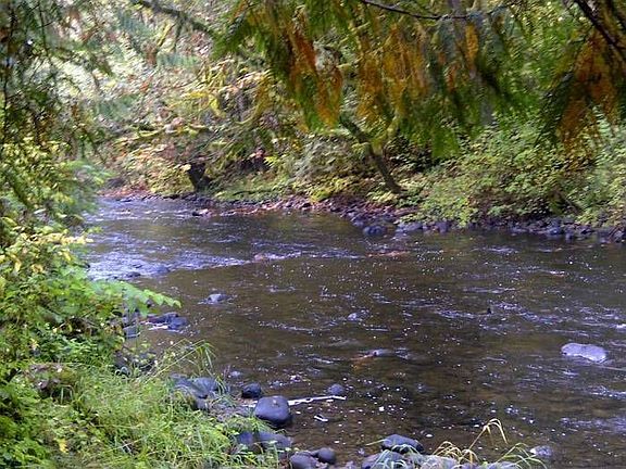 Cedar Creek