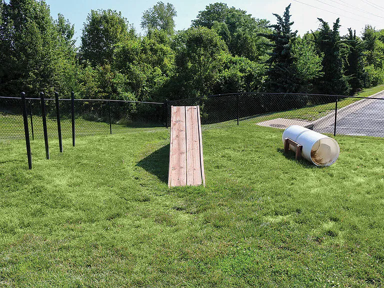 A Park for Your Pups