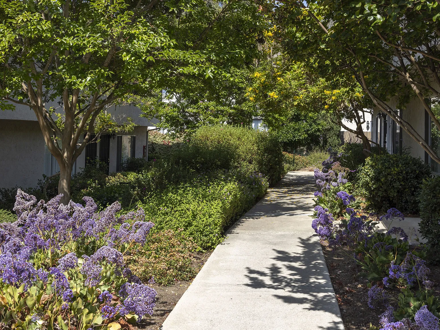 Casa Monterey Apartments — Photo 3