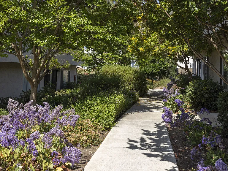 Casa Monterey Apartments — Photo 3