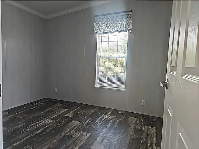 1 bed, 1.0 bath, 504 sqft, $1,825 — Photo 4