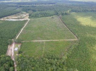 97.83 Acres-TBD Sugar Hill Fox Rd. #Chisolm Trail, Pamplico, SC 29583
