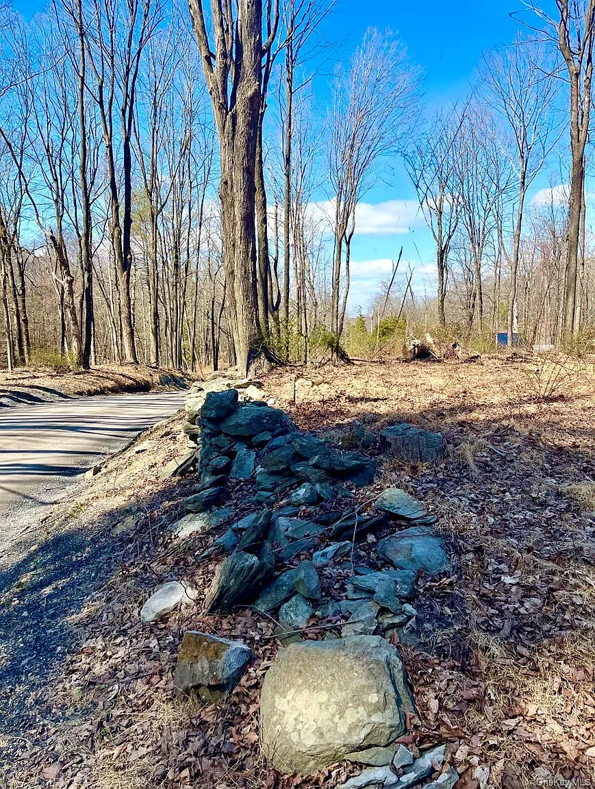 418 Browns Pond Road photo 1