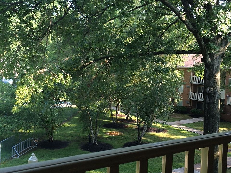 Patio view