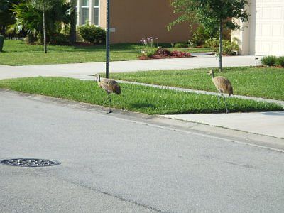 Nature at its finest