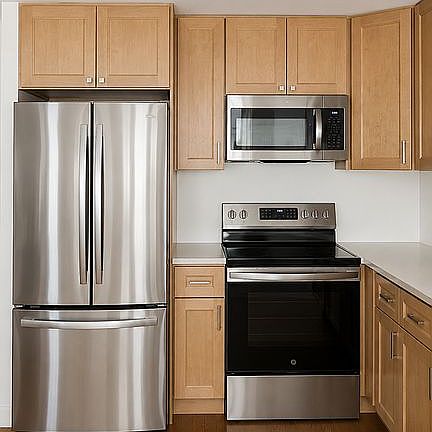 5th image of 405 N Wabash Ave Unit 1014