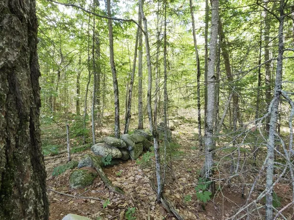 TBD Bridgton Road, Sebago, ME 04029