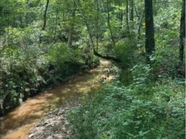 Old Edgefield Rd, Ninety Six, SC 29666