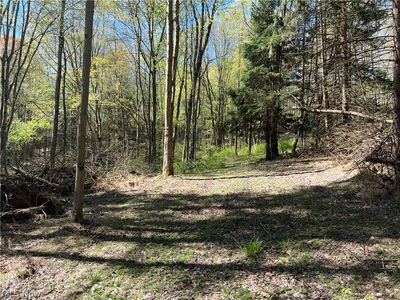 Seeman St SW, East Sparta, OH, 44626