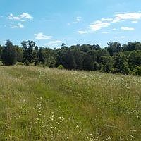 1st image of 3151 Old Highway 31e Ct