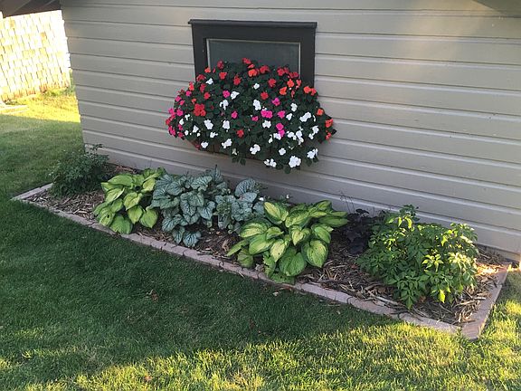 Boathouse perennials