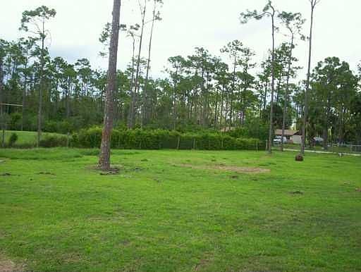 GORGEOUS 2.5 ACRE