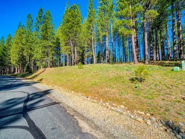266 Boulder Dr, Clio, CA 96106