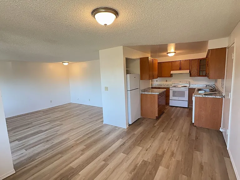 1229 Hemlock Loop — Photo 4